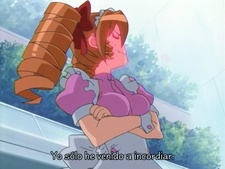 Hanaukyou Maid Tai: La Verite